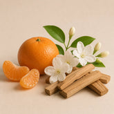 Notas aromáticas del aroma Jardín Secreto con mandarina, jazmín y sándalo