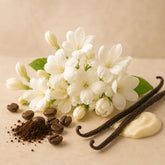 Notas aromáticas del aroma Sueño Blanco con jazmín, café y vainilla